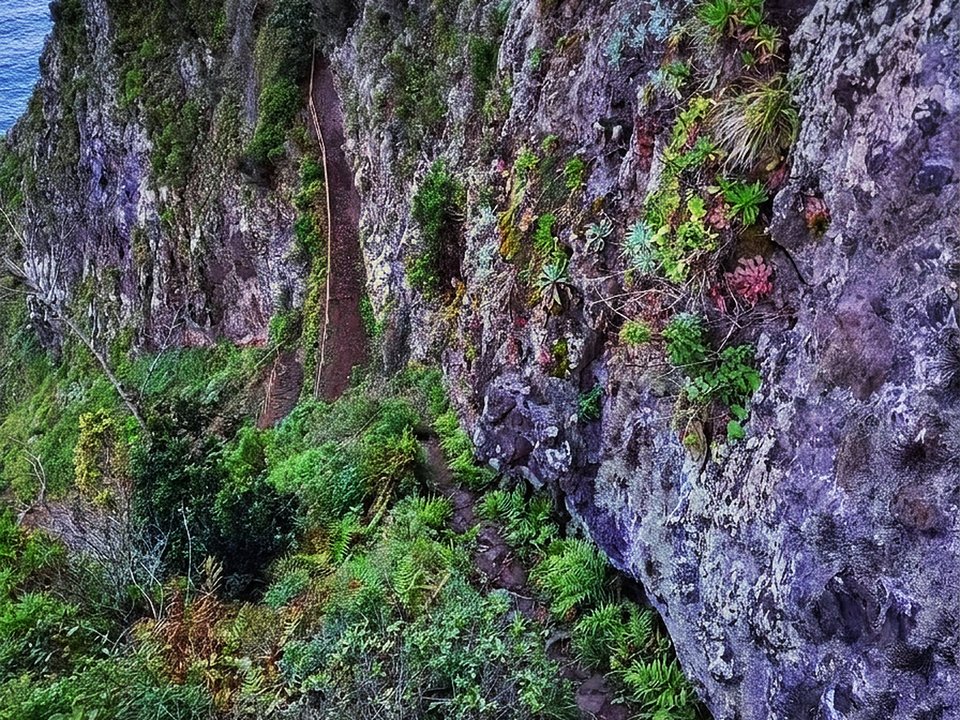 Historic coastal cliff footpath carved into the basalt ramparts of Caminho da Entrosa