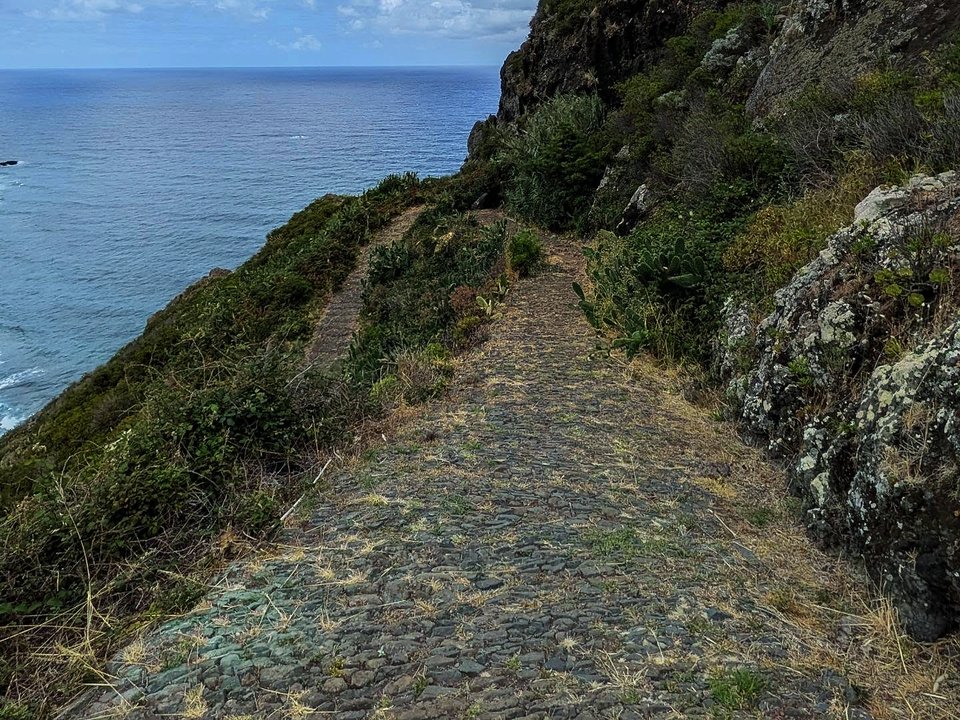 Historic cobbled royal road traversing rural agricultural terraces in Santana