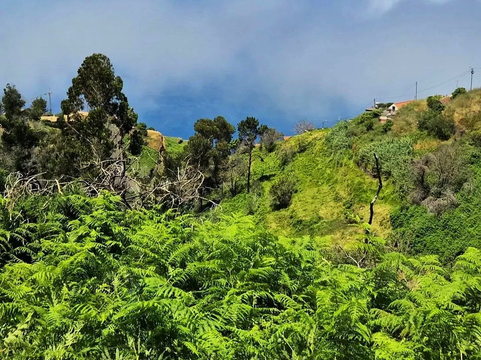 Rural farmsteads and ocean horizons along the gentle levada in Prazeres
