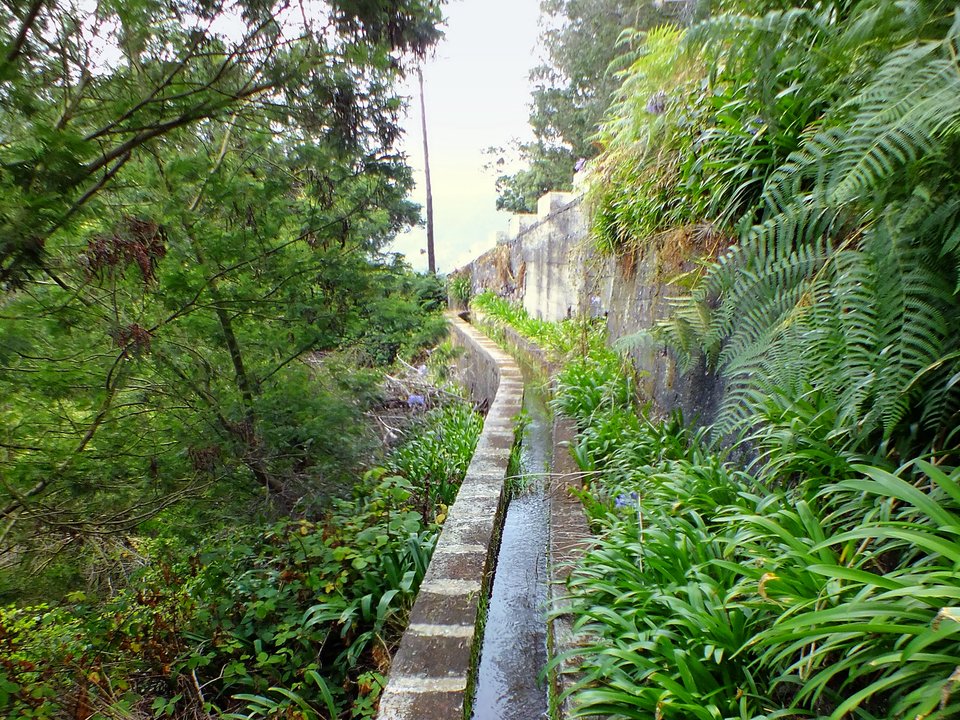 Shaded watercourse bench along the 4 km alignment of Levada da Água de Alto between Ribeira da Abelheira and Fajã do Mar, Faial