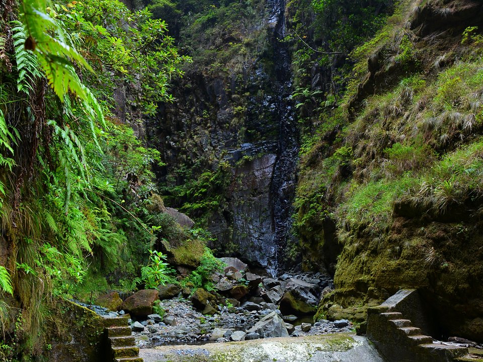 Shaded watercourse bench along the 5.9 km alignment of Levada da Fajã da Nogueira between Ribeira Seca, Faial and Câmara de Carga do Pico da Nogueira
