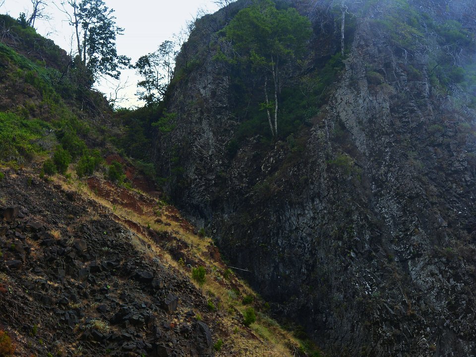 Contouring irrigation conduit of Levada da Fajã da Nogueira approaching Câmara de Carga do Pico da Nogueira in Santana