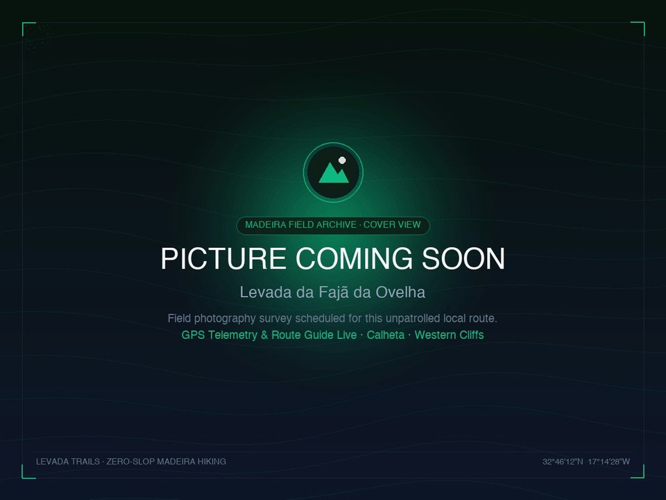 Picture Coming Soon — Scenic water channel and pine woodland trail along Levada da Fajã da Ovelha
