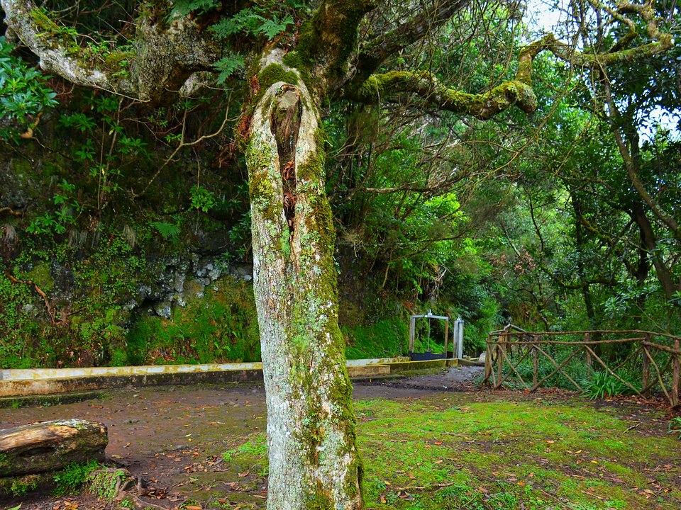 Masonry water channel and inspection path of Levada da Portela near Levada do Furado / Casa de Água dos Lamaceiros in Machico