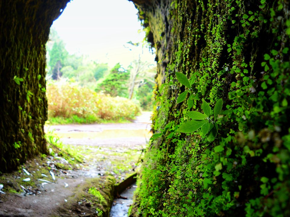 Contouring irrigation conduit of Levada da Portela approaching Cabeço da Lapa, Maiata, Porto da Cruz in Machico