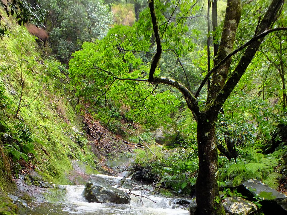 Masonry water channel and inspection path of Levada da Ribeira da Janela near Ribeiro Gordo, Ribeira da Janela in Porto Moniz