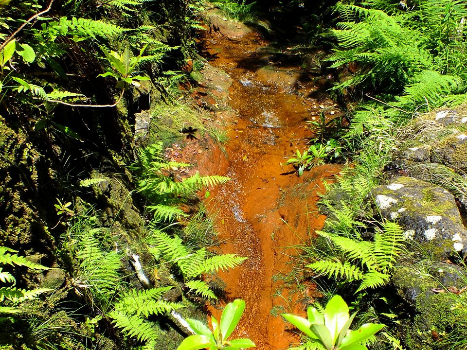 Masonry water channel and inspection path of Levada da Rocha Vermelha near Ribeiro da Fajã dos Remos in Calheta