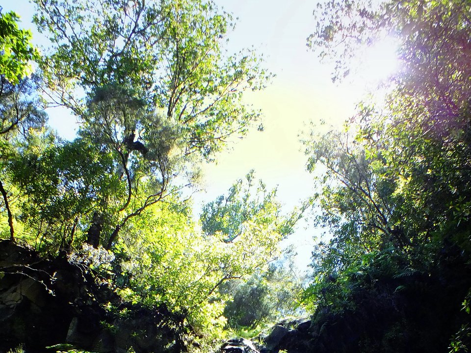 Contouring irrigation conduit of Levada da Rocha Vermelha approaching Rocha Vermelha Forebay, Calheta Hydroelectric Station in Calheta