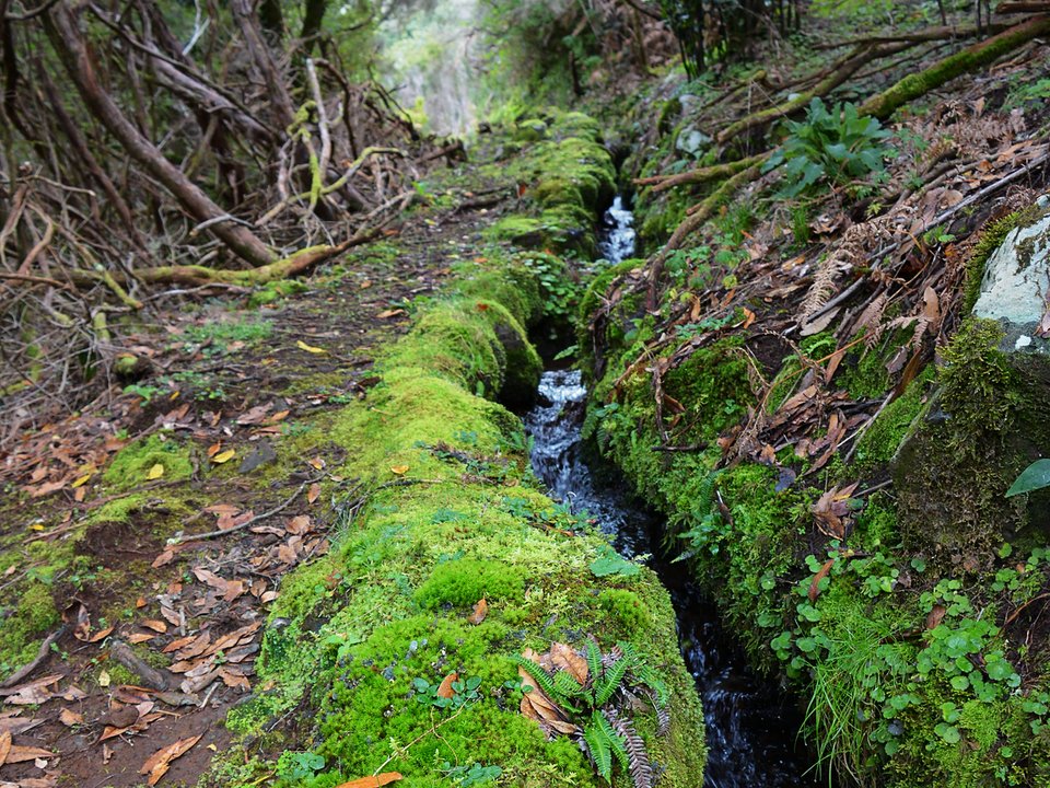 Masonry water channel and inspection path of Levada da Serra da Ponta do Pargo near Ribeira dos Moinhos in Calheta
