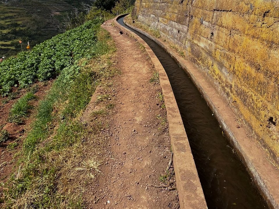 Verdant mountain gorge and clear levada flow along Levada da Serra de Água