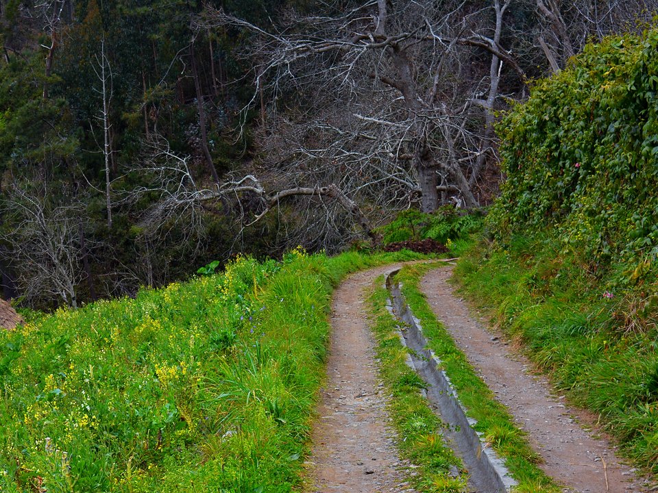 Masonry water channel and inspection path of Levada da Serra do Estreito near Poço da Serra / Poço da Corrida, Sítio da Corrida in Câmara de Lobos