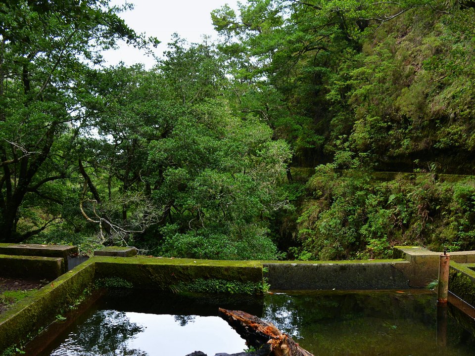 Shaded watercourse bench along the 54 km alignment of Levada da Serra do Faial between Ribeira Seca, São Roque do Faial and Caminho do Meio / Choupana, Funchal