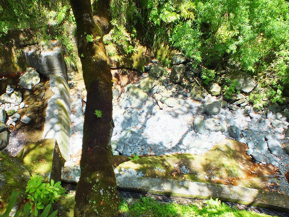 Shaded watercourse bench along the 9 km alignment of Levada da Silveira between Ribeira dos Arcos and Feiteira de Cima, Santana