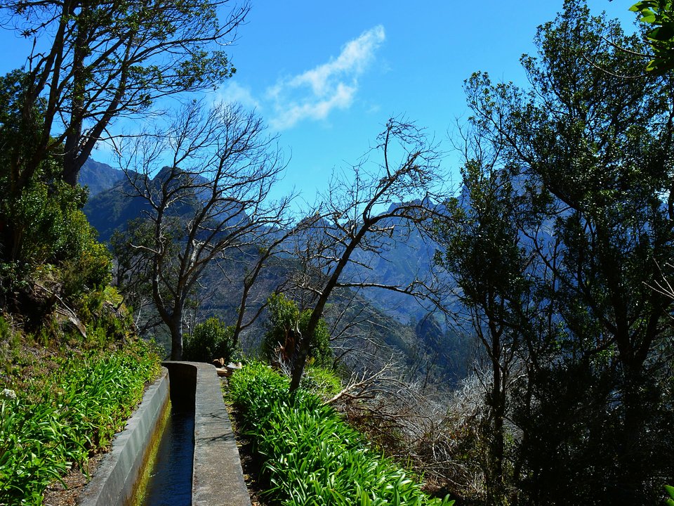 Shaded watercourse bench along the 7 km alignment of Levada das Rabaças between Fontes das Rabaças, Sítio do Cascalho and Downstream Portal of the Levada do Norte Variant Tunnel, near Boca da Encumeada