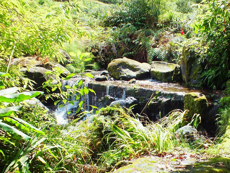 Shaded watercourse bench along the 4 km alignment of Levada de Cima da Boaventura between Ribeira dos Moinhos and Ponta Delgada