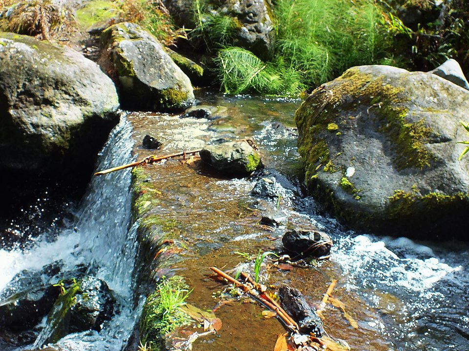 Contouring irrigation conduit of Levada de Cima da Boaventura approaching Ponta Delgada in São Vicente