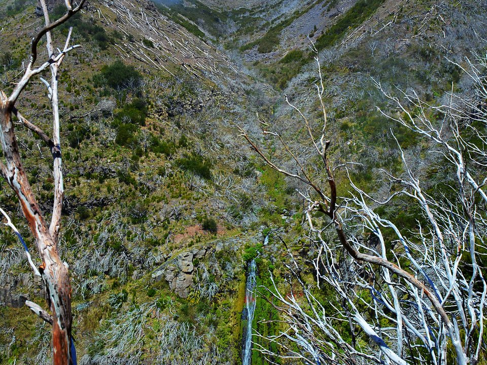 Masonry water channel and inspection path of Levada do Barreiro near the Poço da Neve headwaters in Funchal