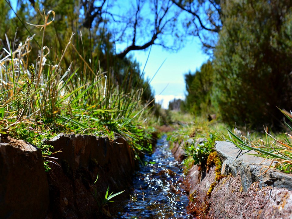 Contouring irrigation conduit of Levada do Barreiro approaching Sítio do Tanque, Monte in Funchal