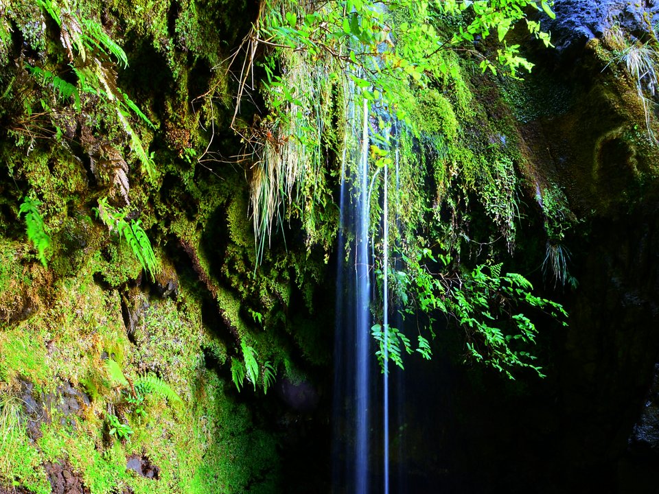 Rock-cut ledge of Levada do Caldeirão do Inferno approaching the Ribeira Grande canyon