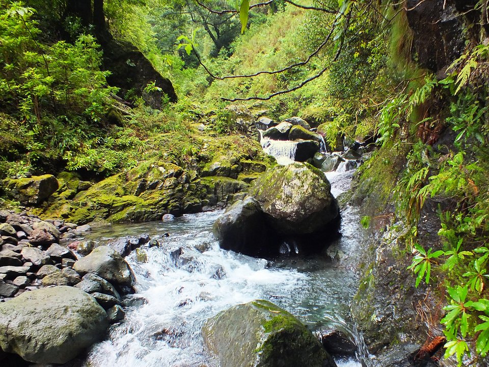 Masonry water channel and inspection path of Levada do Caldeirão Verde Superior near Caldeirão Verde Superior in Santana