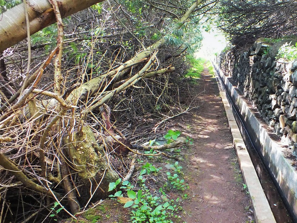 Contouring irrigation conduit of Levada do Caniçal approaching Sítio da Rochinha, Caniçal in Machico