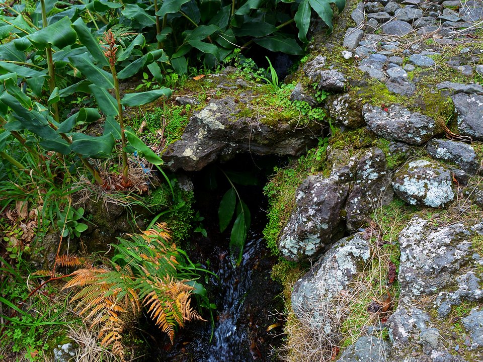 Water intake (madre) of Levada do Chão da Ribeira on Ribeira do Seixal (550 m)
