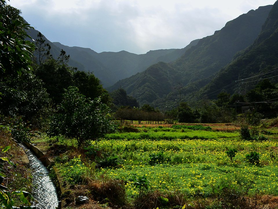 Central north-coast panorama from Levada do Chão da Ribeira toward Ponta Delgada, Lombadas, and Fajã da Areia