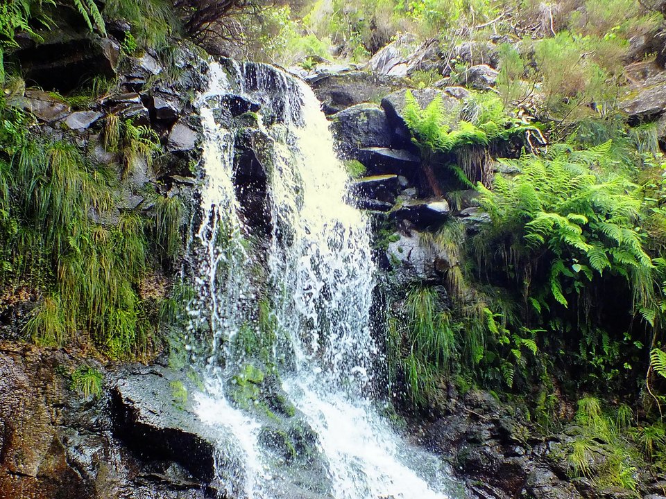Contouring irrigation conduit of Levada do Lajeado approaching Ribeira do Alecrim in Paul da Serra