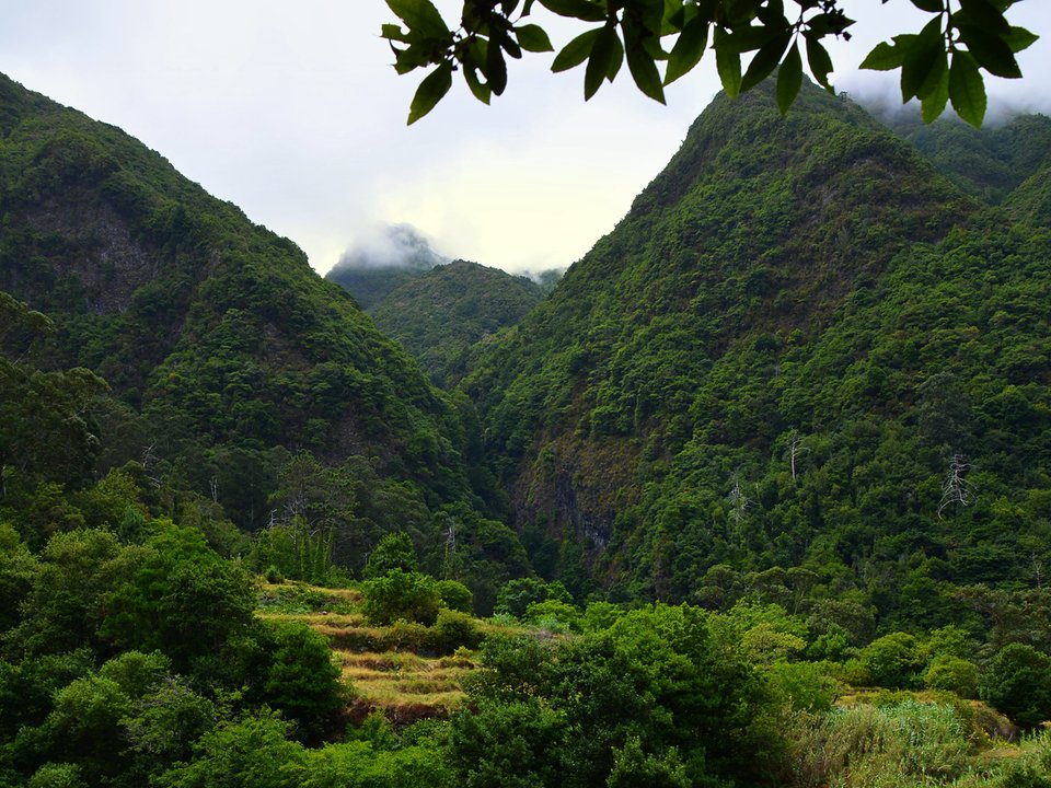 Shaded watercourse bench along the 1.4 km alignment of Levada do Lanço between Ribeira do Passo and Sítio do Lanço, São Vicente