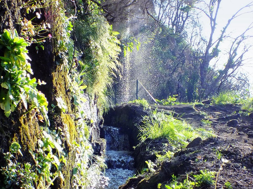 Shaded watercourse bench along the 12 km alignment of Levada do Lombo do Mauro between Bica da Cana and Pomar da Rocha, Serra de Água