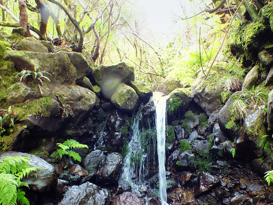 Masonry water channel and inspection path of Levada do Moinho, Paul da Serra near Ribeira do Lajeado / Ribeira da Janela in Paul da Serra