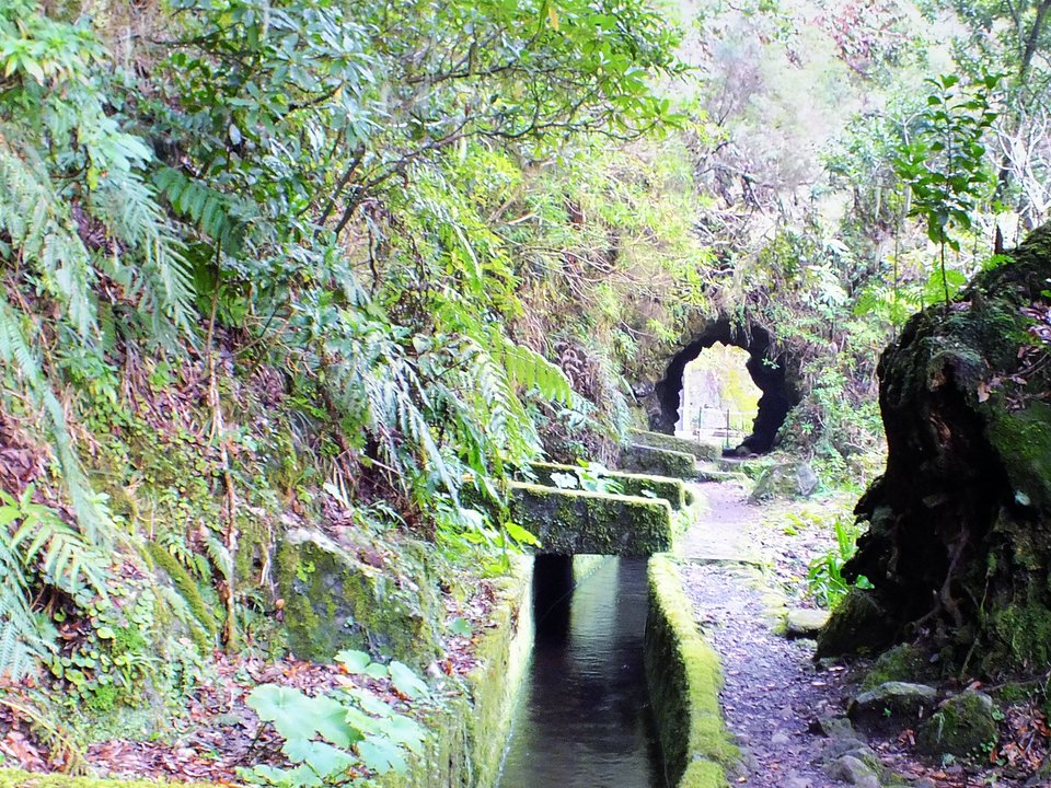 Shaded watercourse bench along the 14 km alignment of Levada do Norte — Lanço Norte between Ribeira da Hortelã, Seixal and Canal do Norte, Boca da Encumeada