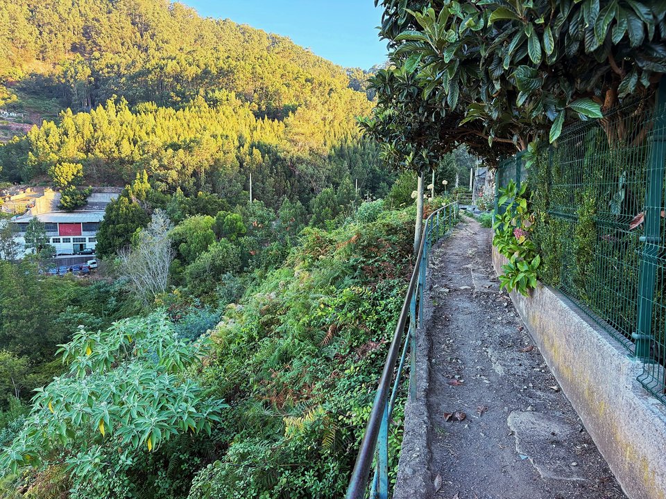 Coastal farmland and dramatic precipices along the Quinta Grande levada stretch