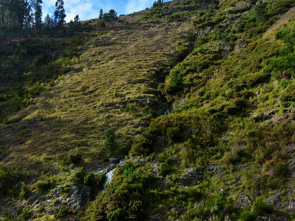 Stone channel bench along Levada do Pico do Curral in the upper Santo António hills