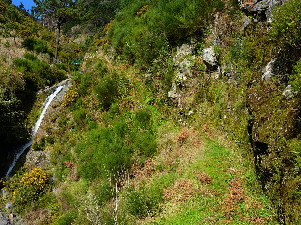 Historic stone pastoral enclosures (antigos currais) in the Santo António highlands near the intake of Levada do Pico do Curral (1450 m)
