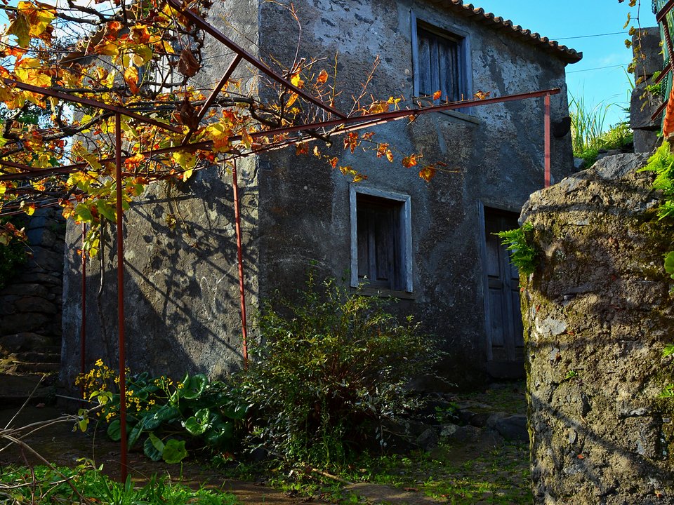 Lower terminus of Levada do Pico dos Iroses at Porto Novo, a valley famous for wine production since the 15th century
