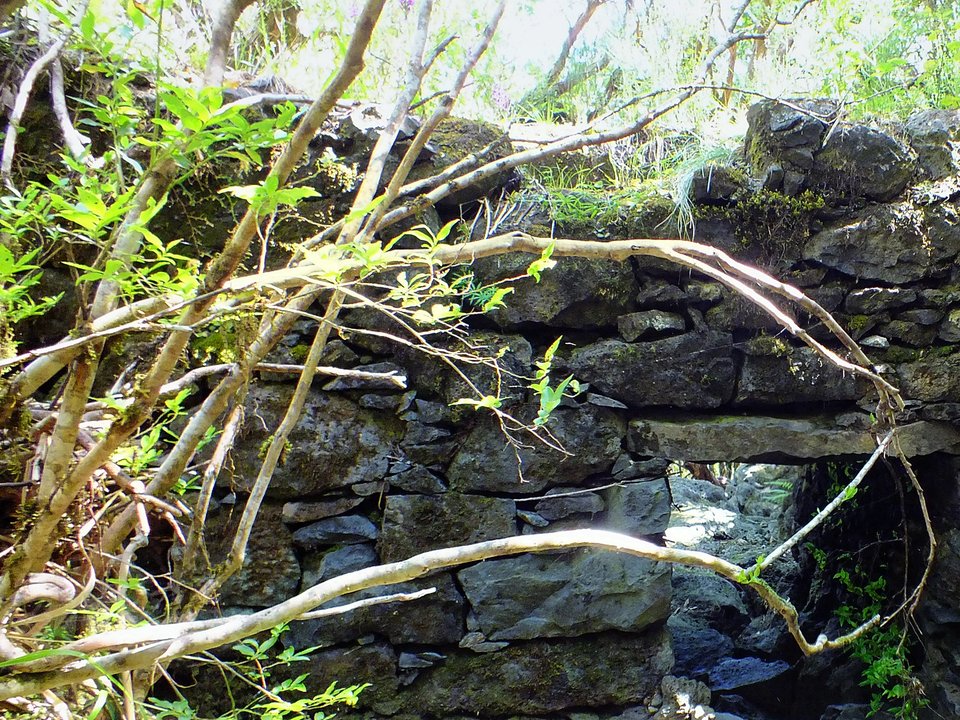 Shaded watercourse bench along the 5 km alignment of Levada do Inferno between Ribeira do Inferno (Pico Ruivo do Paúl) and Levada do Norte