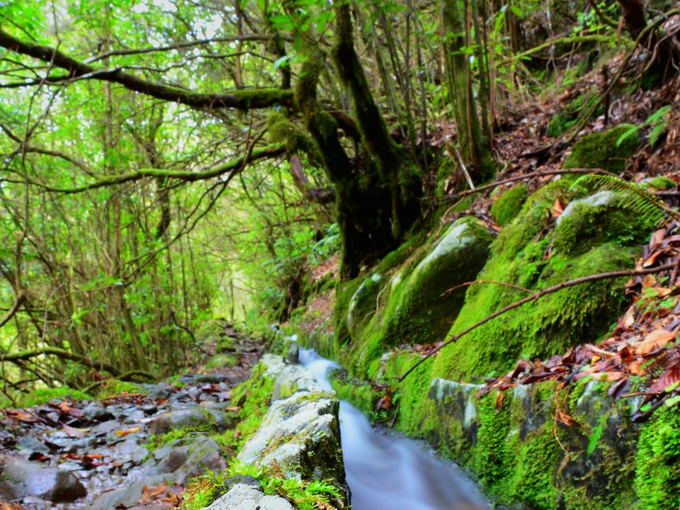 Masonry water channel and inspection path of Levada do Poço do Bezerro near Ribeiro do Poço do Bezerro in Santana
