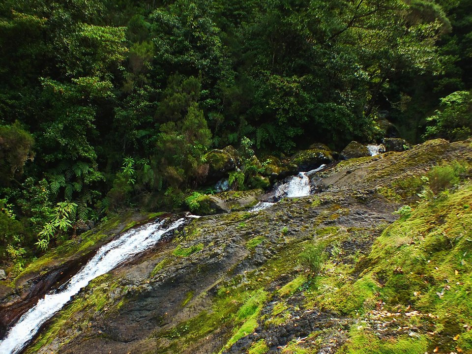 Shaded watercourse bench along the 3.3 km alignment of Levada das Feitas between Córregos de Água / Ribeira do Vimeiro and Levada da Rocha Vermelha / Ribeira da Água Negra