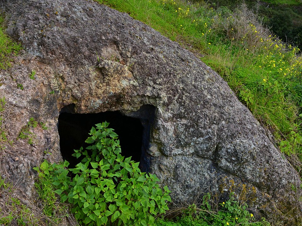 Water intake (madre) of Levada do Teixo on Ribeiro Frio da Ponta do Sol (750 m)