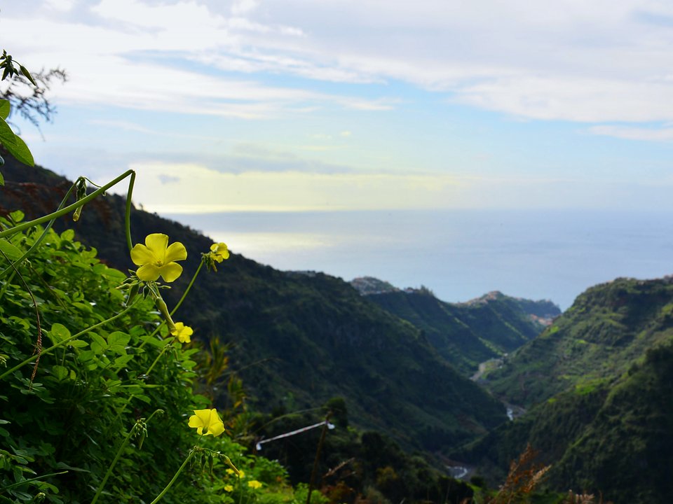Valley of Ribeiro Frio da Ponta do Sol flanked by Lombo das Torres and Pico das Pedras