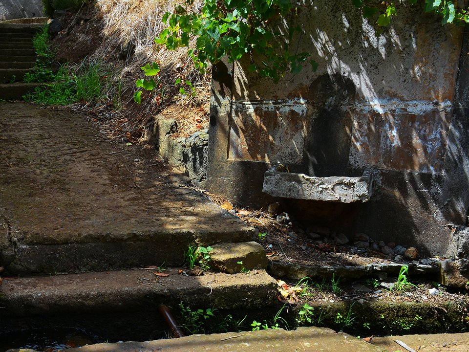 Levada do Vimieiro running beneath a traditional grapevine pergola (parreira) in São Vicente