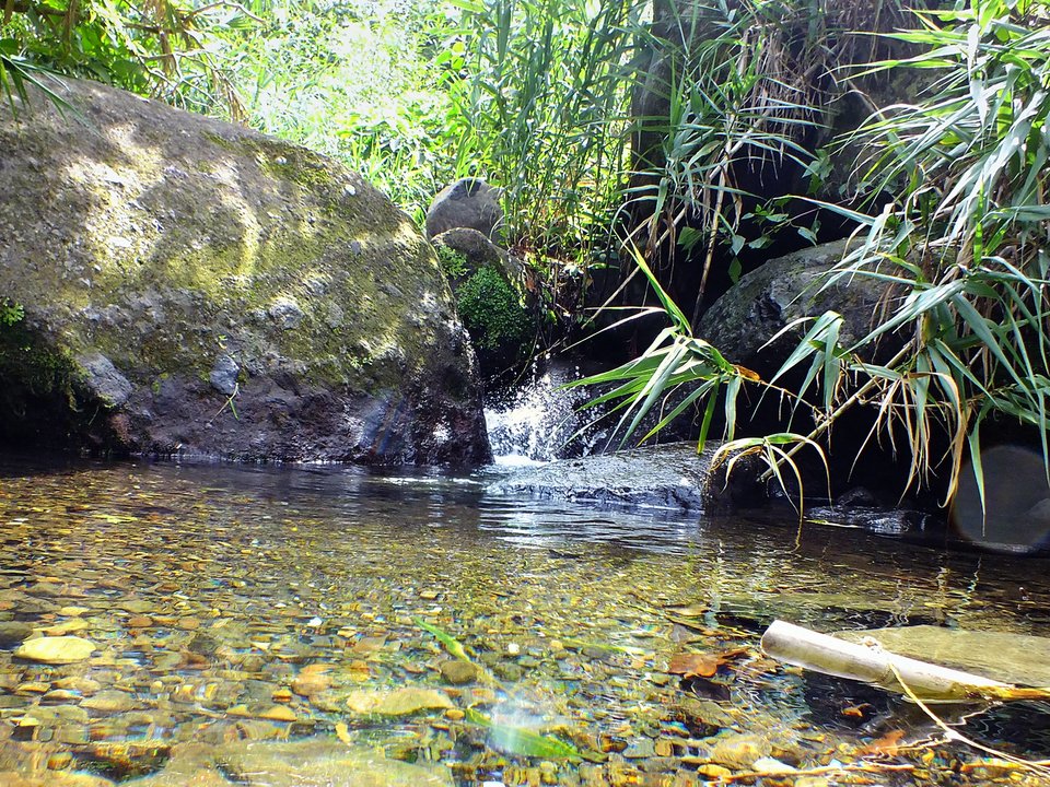 Shaded watercourse bench along the 5.3 km alignment of Levada dos Cardais between Ribeira Grande, São Vicente and Cardais de Baixo, São Vicente