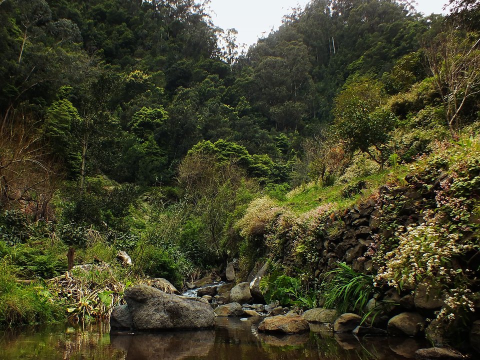 Shaded watercourse bench along the 15.5 km alignment of Levada dos Maroços between Fonte Vermelha / Ribeira de Machico and Sítio da Rochinha, Caniçal