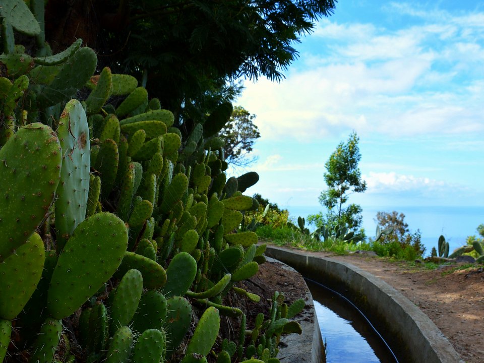 Coastal view over Ponta do Sol from the high contour of Levada dos Zimbreiros