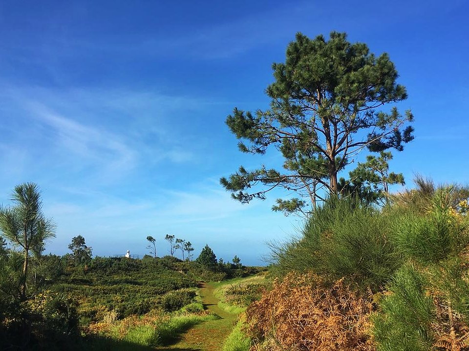 Sunlit canal path of Levada Nova contouring through the terraces of Calheta