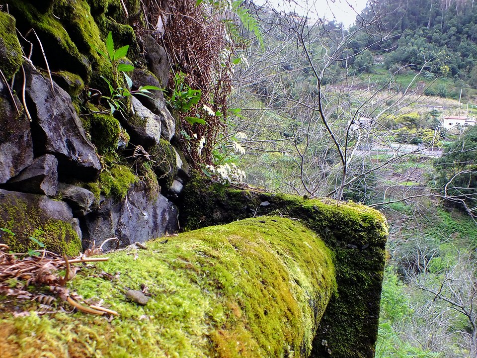 Ribeira de Machico and the Maroços valley along Levada Nova de Machico