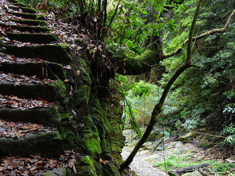 Shaded watercourse bench along the 10 km alignment of Levada Nova de Santa Cruz between Ribeira de Santa Cruz and Sítio da Igreja, Água de Pena
