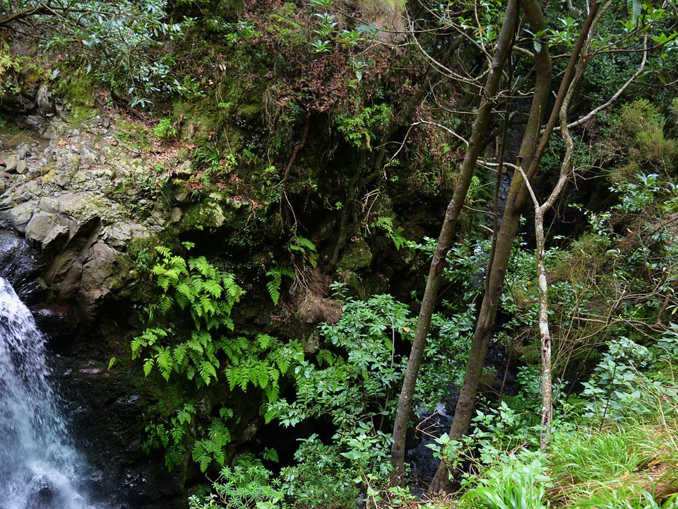 Contouring irrigation conduit of Levada Nova do Arco da Calheta approaching Lombo das Terças in Ponta do Sol