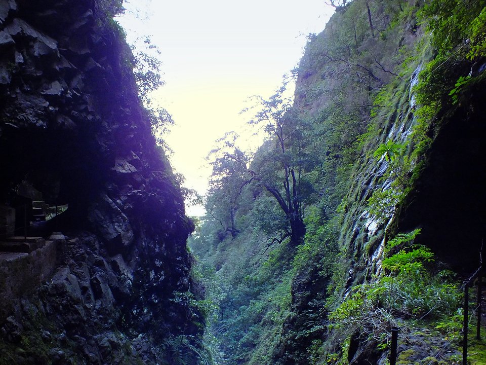 Shaded watercourse bench along the 3.64 km alignment of Levada Nova do Juncal between Ribeira do Juncal and Câmara de Carga do Pico da Nogueira